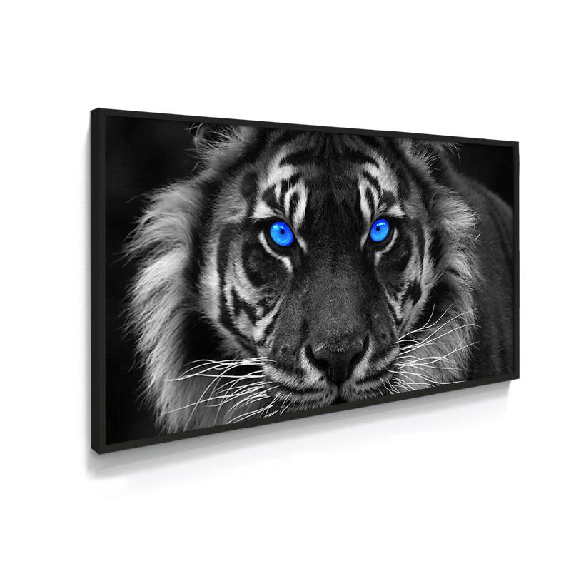 Quadro Decorativo Tigre de olhos azuis