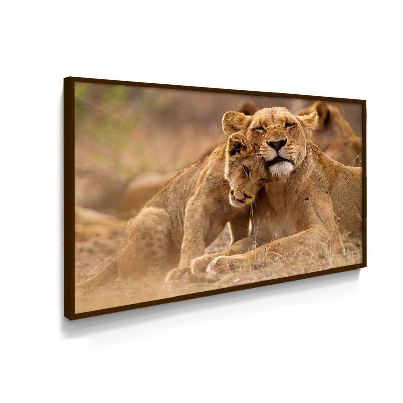 QUADRO DECORATIVO LEOA E FILHOTE